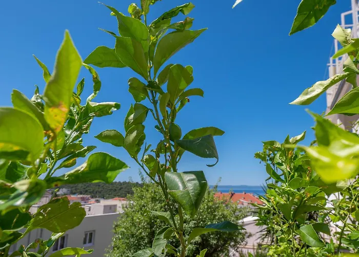 Apartmani Sani