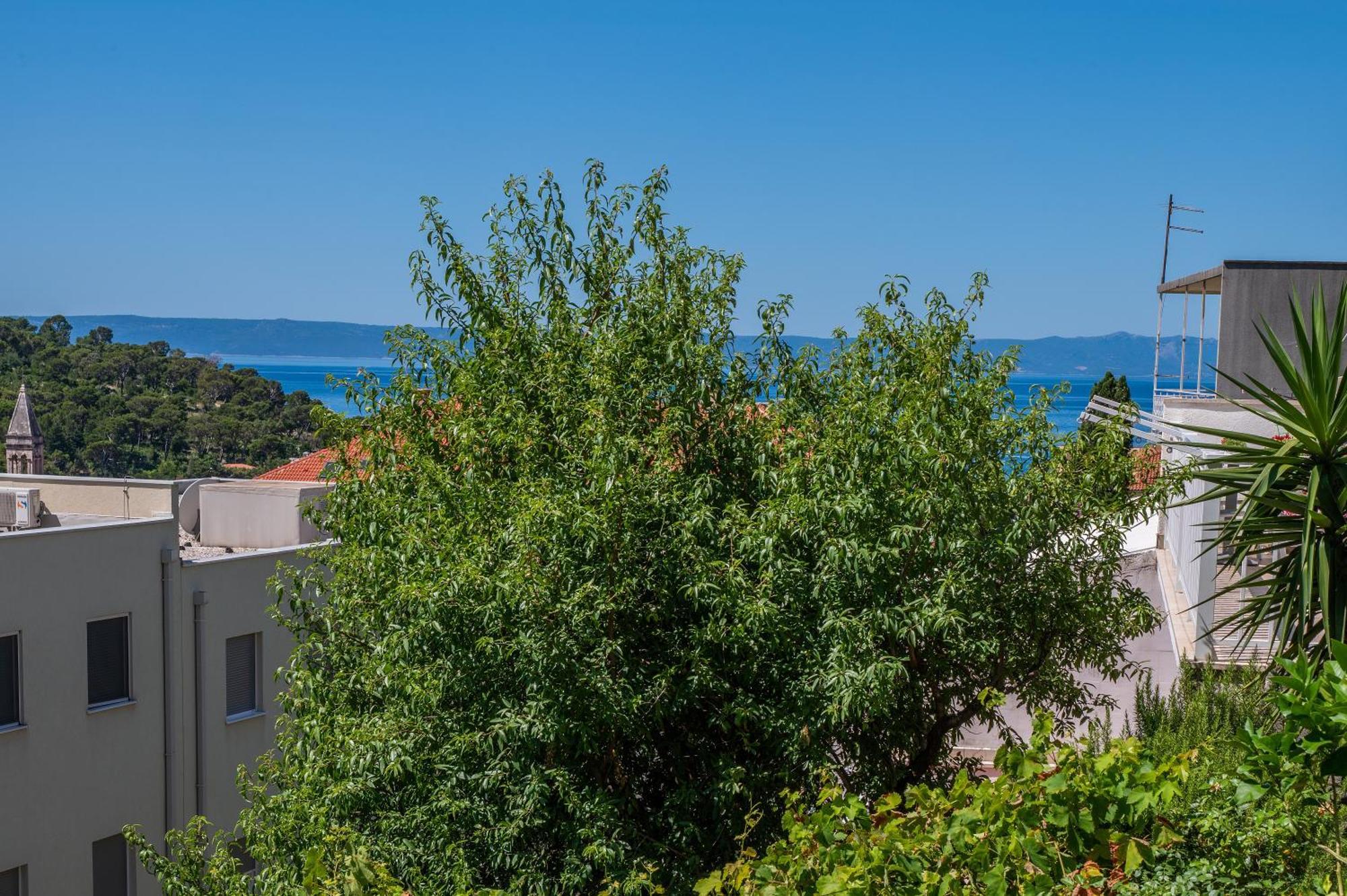 Apartment Sani Makarska