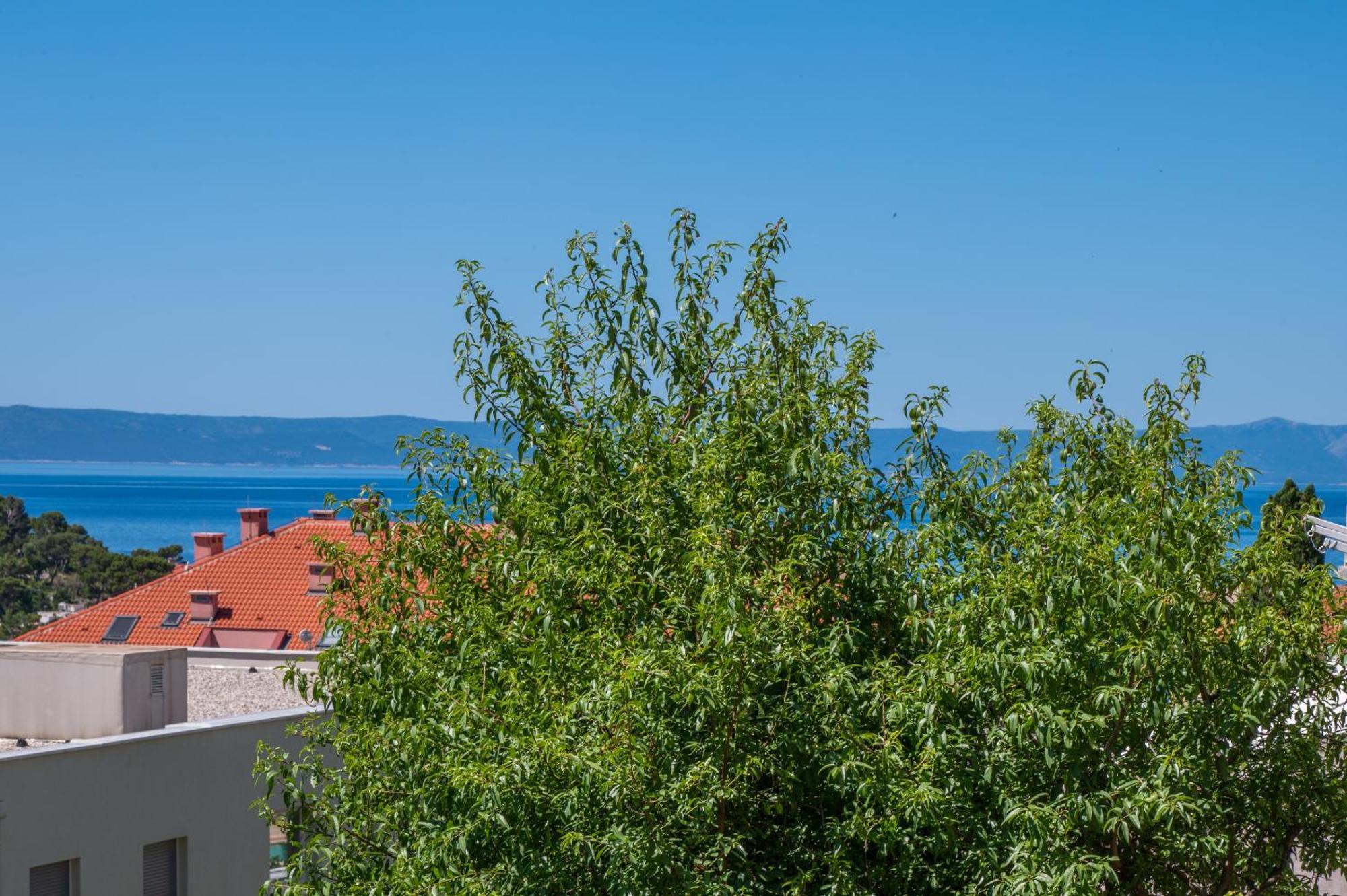 Apartment Sani Makarska